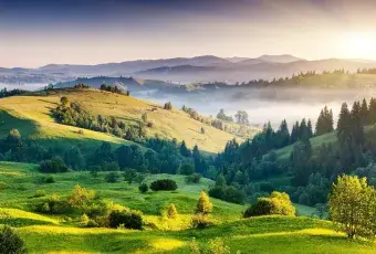 красивая природа