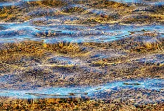 Прозрачная морская вода