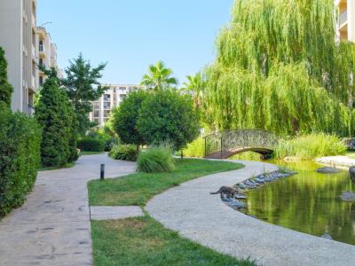 комплекс, территория, бассейн 