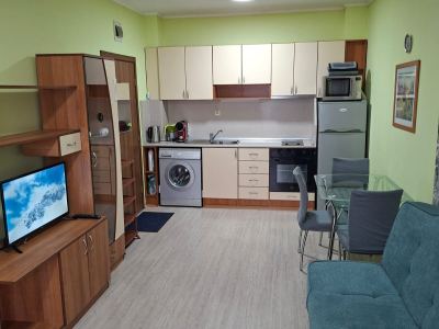 вид на гостиную и кухню