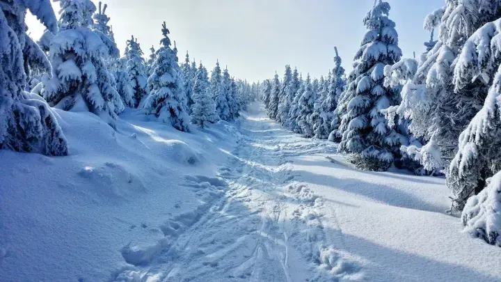 Снег в горах