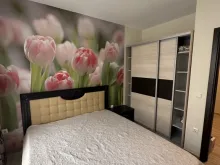 Miniaturka