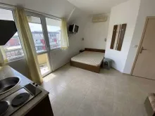 Miniaturka