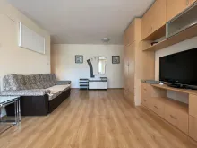 Miniaturka