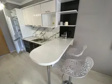Miniaturka
