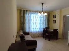 Miniaturka