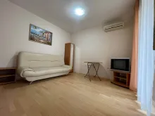 Miniaturka