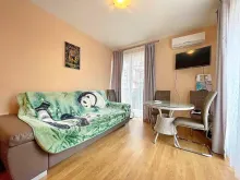 Miniaturka