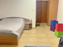 Miniaturka