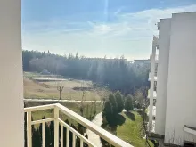 вид на лес с террасы