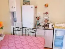 Miniaturka