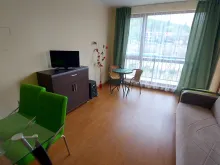 Miniaturka