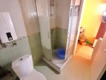 Miniaturka