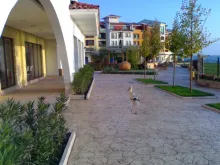 Miniaturka