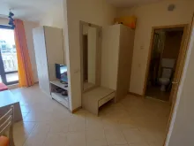 Miniaturka