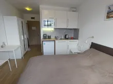 Miniaturka