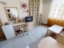 Miniaturka