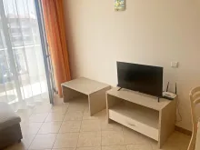 Miniaturka