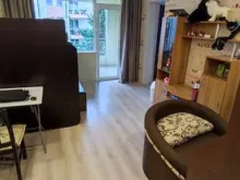 стол, стул, комнатный сегмент