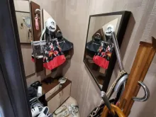 Miniaturka