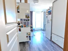 Miniaturka