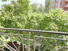 вид на сад с террасы
