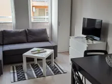 Miniaturka