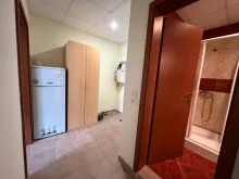 Miniaturka