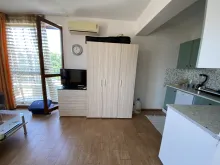 Miniaturka