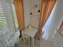 Miniaturka