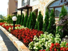 придомовая территория комплекса