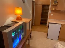 Miniaturka