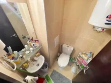 Miniaturka