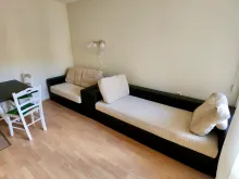 Miniaturka