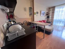 Miniaturka