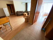 Miniaturka