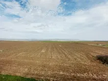 сельскохозяйственные угодья