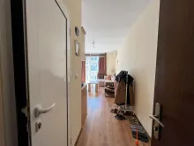 Miniaturka