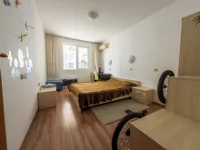 Miniaturka