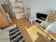 Miniaturka