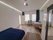 Miniaturka