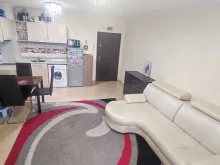 Miniaturka