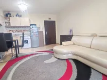 Miniaturka
