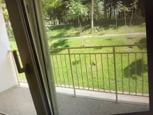 Выход на террасу