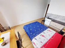 Miniaturka