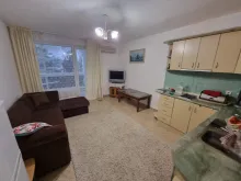 Miniaturka