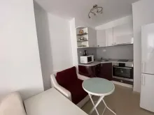 Miniaturka