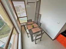Miniaturka