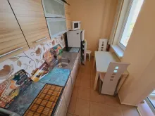 Miniaturka