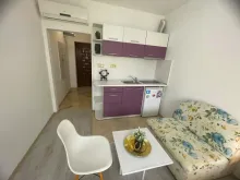Miniaturka